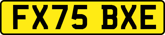 FX75BXE