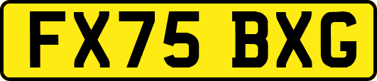 FX75BXG