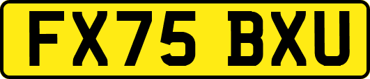 FX75BXU
