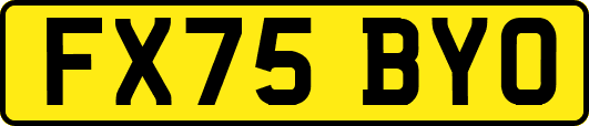 FX75BYO