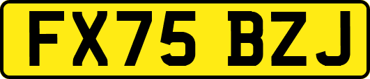 FX75BZJ