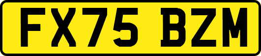 FX75BZM