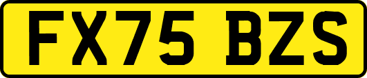 FX75BZS