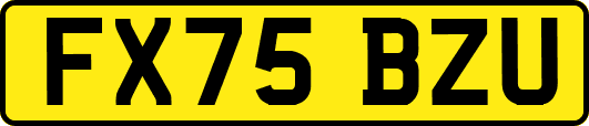 FX75BZU