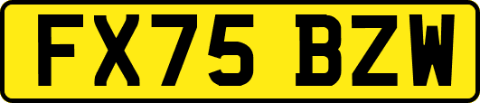 FX75BZW