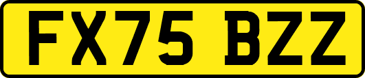 FX75BZZ