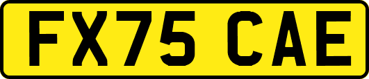 FX75CAE