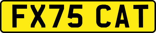 FX75CAT