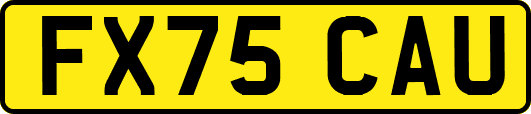 FX75CAU
