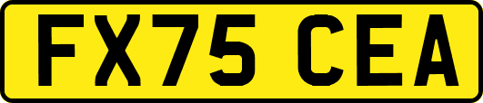 FX75CEA