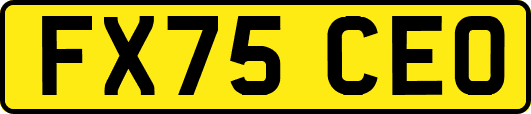 FX75CEO