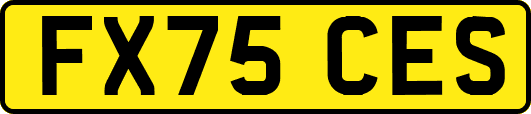 FX75CES