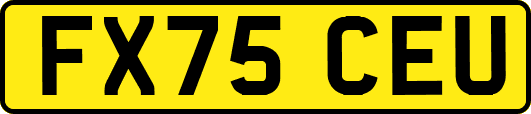 FX75CEU