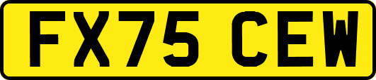 FX75CEW