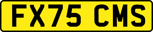 FX75CMS