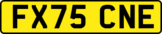 FX75CNE