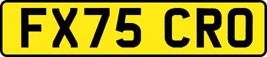 FX75CRO