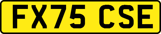 FX75CSE