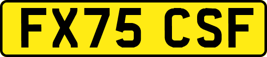 FX75CSF