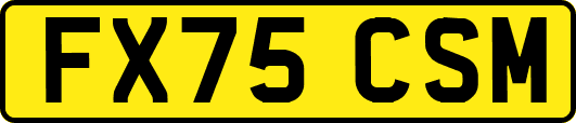 FX75CSM