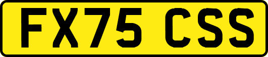 FX75CSS