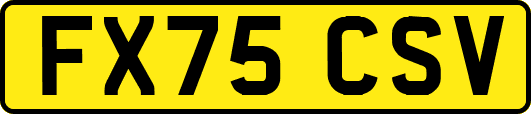 FX75CSV