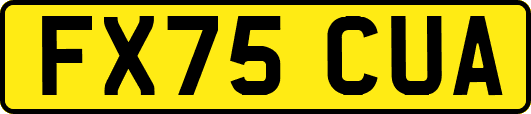 FX75CUA