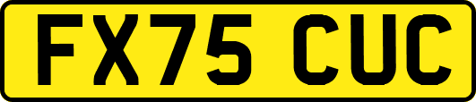 FX75CUC