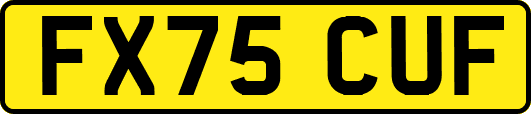 FX75CUF