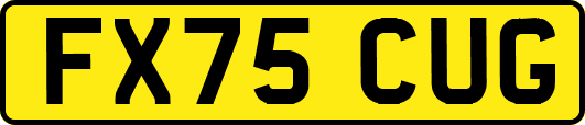 FX75CUG
