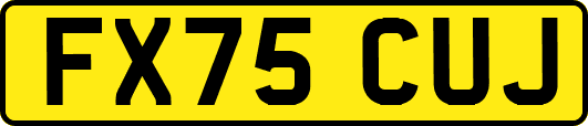 FX75CUJ