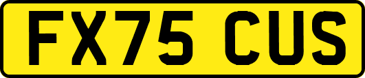 FX75CUS