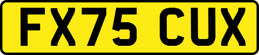 FX75CUX