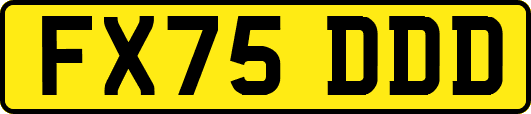 FX75DDD
