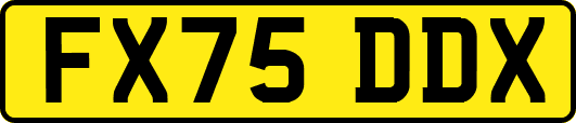 FX75DDX
