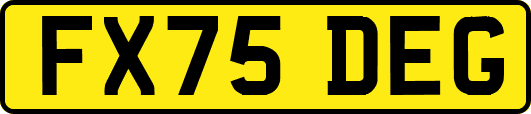 FX75DEG