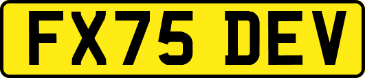 FX75DEV