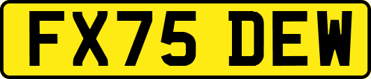 FX75DEW