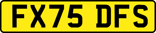 FX75DFS