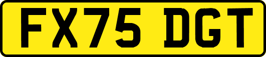 FX75DGT