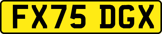 FX75DGX