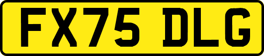FX75DLG
