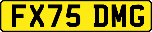 FX75DMG