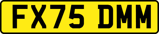 FX75DMM
