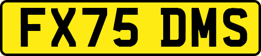 FX75DMS