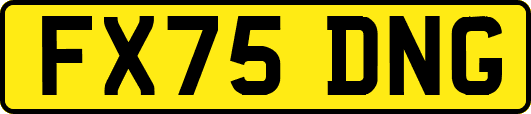 FX75DNG