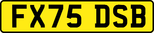 FX75DSB