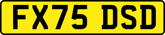 FX75DSD