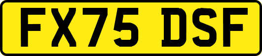 FX75DSF