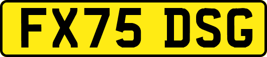 FX75DSG